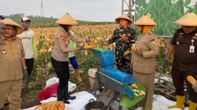 Polres Semarang Panen Raya Jagung